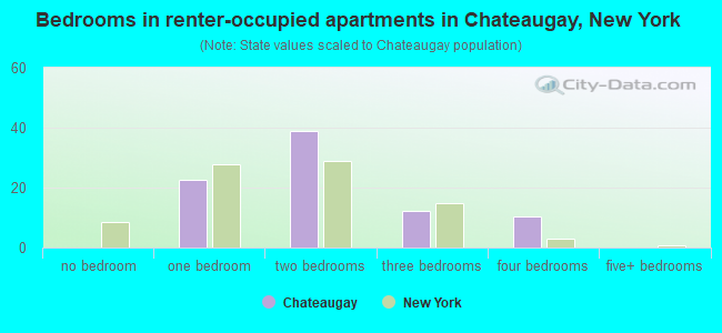 Bedrooms in renter-occupied apartments in Chateaugay, New York