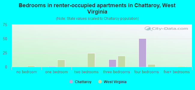 Bedrooms in renter-occupied apartments in Chattaroy, West Virginia