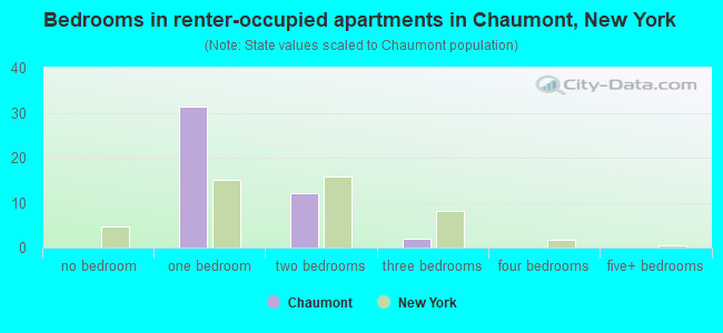 Bedrooms in renter-occupied apartments in Chaumont, New York