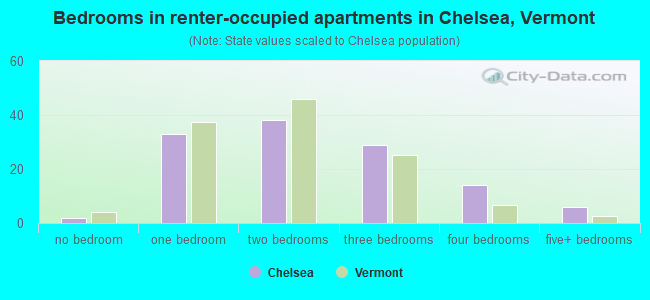 Bedrooms in renter-occupied apartments in Chelsea, Vermont