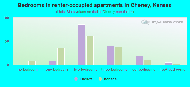 Bedrooms in renter-occupied apartments in Cheney, Kansas
