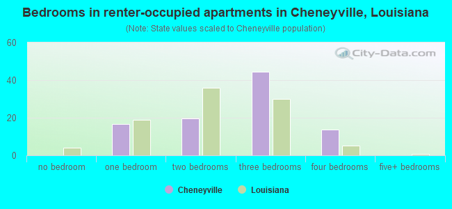 Bedrooms in renter-occupied apartments in Cheneyville, Louisiana
