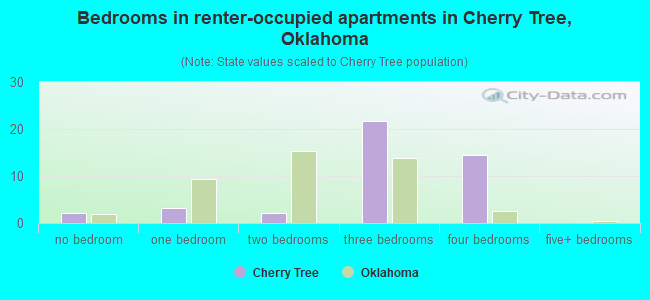 Bedrooms in renter-occupied apartments in Cherry Tree, Oklahoma