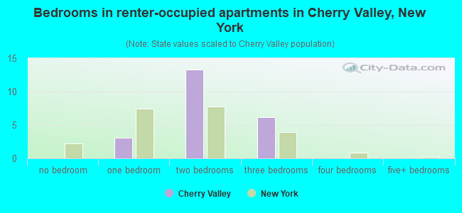 Bedrooms in renter-occupied apartments in Cherry Valley, New York