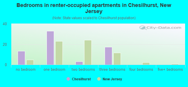 Bedrooms in renter-occupied apartments in Chesilhurst, New Jersey