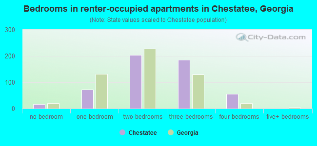 Bedrooms in renter-occupied apartments in Chestatee, Georgia
