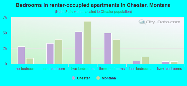 Bedrooms in renter-occupied apartments in Chester, Montana