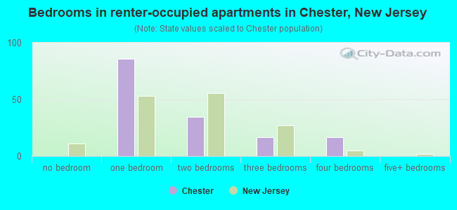 Bedrooms in renter-occupied apartments in Chester, New Jersey