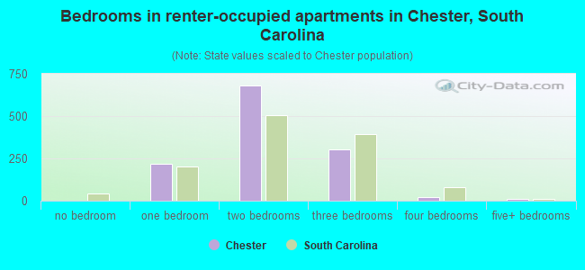 Bedrooms in renter-occupied apartments in Chester, South Carolina
