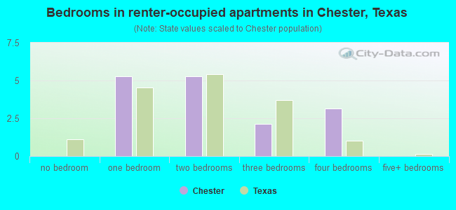 Bedrooms in renter-occupied apartments in Chester, Texas