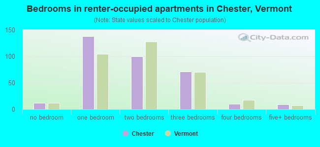 Bedrooms in renter-occupied apartments in Chester, Vermont