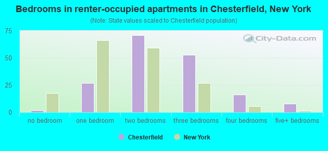 Bedrooms in renter-occupied apartments in Chesterfield, New York