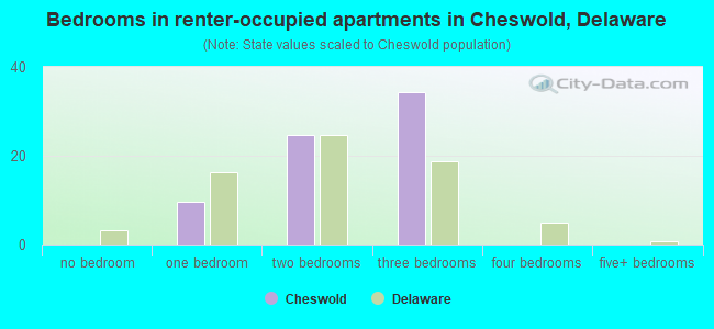 Bedrooms in renter-occupied apartments in Cheswold, Delaware