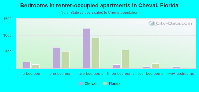 Bedrooms in renter-occupied apartments in Cheval, Florida