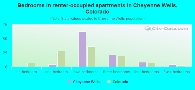 Bedrooms in renter-occupied apartments in Cheyenne Wells, Colorado