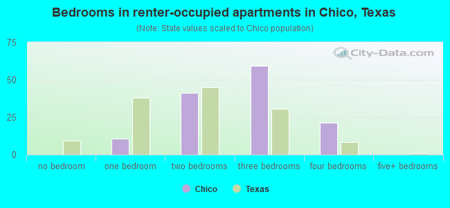 Bedrooms in renter-occupied apartments in Chico, Texas