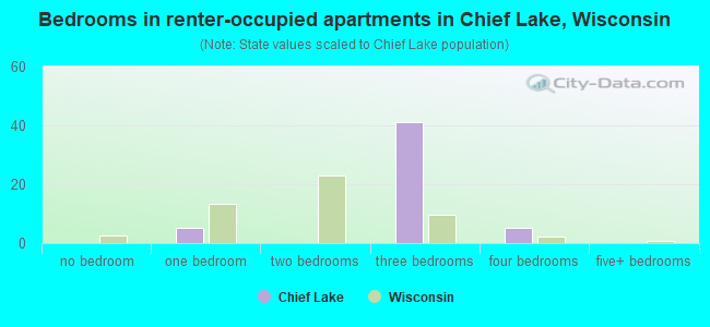 Bedrooms in renter-occupied apartments in Chief Lake, Wisconsin