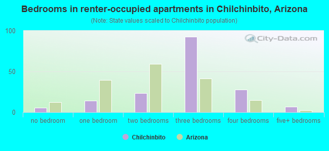 Bedrooms in renter-occupied apartments in Chilchinbito, Arizona