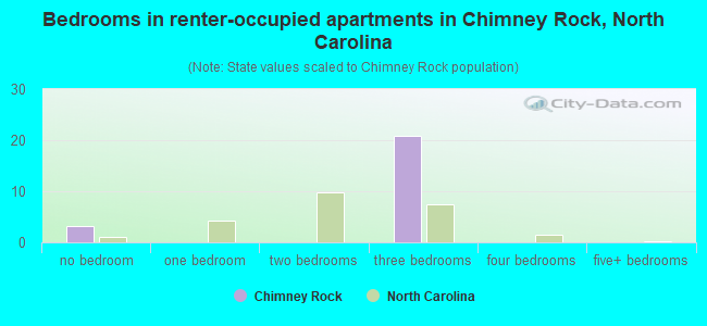 Bedrooms in renter-occupied apartments in Chimney Rock, North Carolina