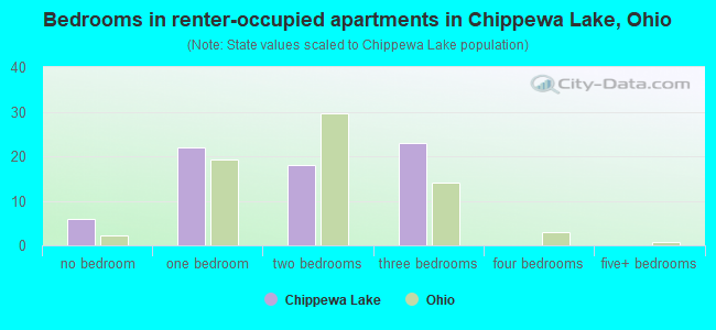 Bedrooms in renter-occupied apartments in Chippewa Lake, Ohio