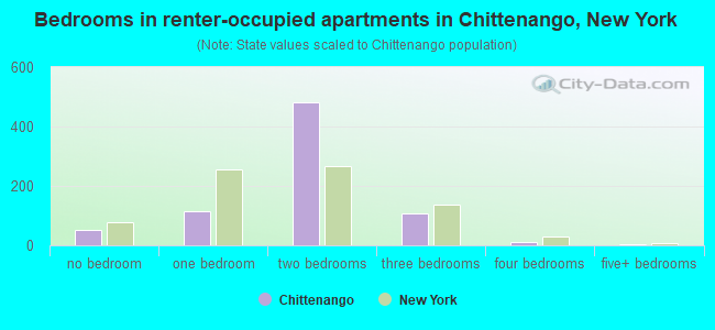 Bedrooms in renter-occupied apartments in Chittenango, New York