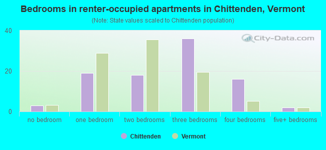 Bedrooms in renter-occupied apartments in Chittenden, Vermont