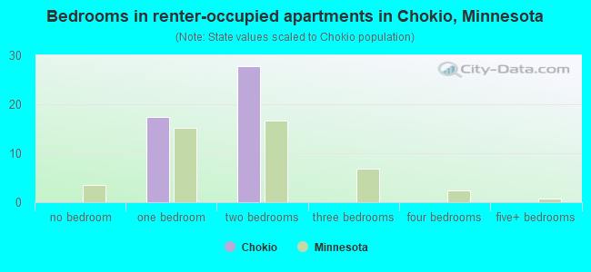 Bedrooms in renter-occupied apartments in Chokio, Minnesota