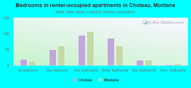 Bedrooms in renter-occupied apartments in Choteau, Montana