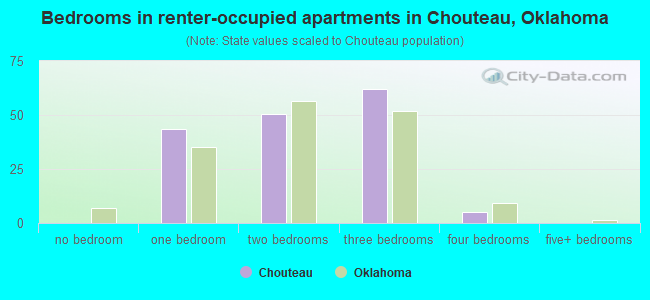 Bedrooms in renter-occupied apartments in Chouteau, Oklahoma