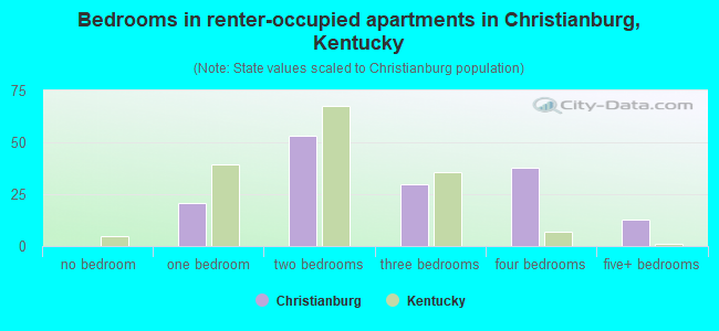 Bedrooms in renter-occupied apartments in Christianburg, Kentucky