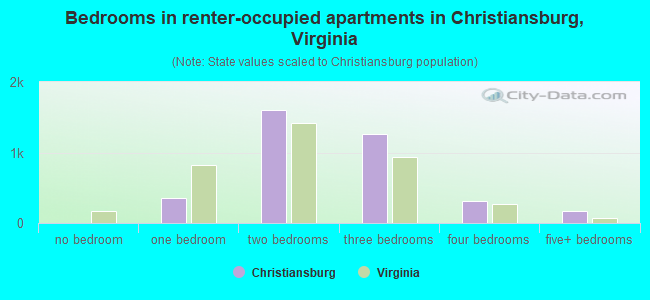 Bedrooms in renter-occupied apartments in Christiansburg, Virginia