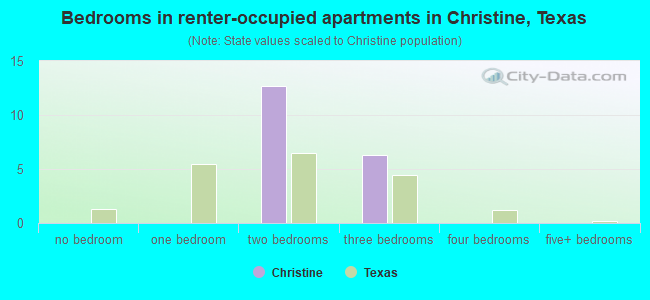 Bedrooms in renter-occupied apartments in Christine, Texas