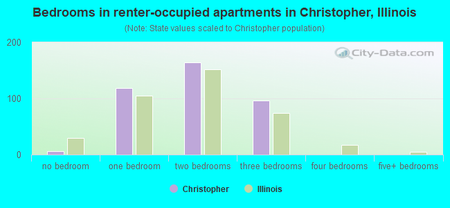 Bedrooms in renter-occupied apartments in Christopher, Illinois