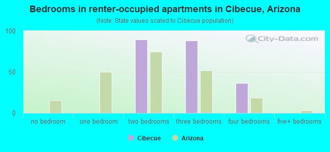 Bedrooms in renter-occupied apartments in Cibecue, Arizona