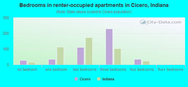 Bedrooms in renter-occupied apartments in Cicero, Indiana