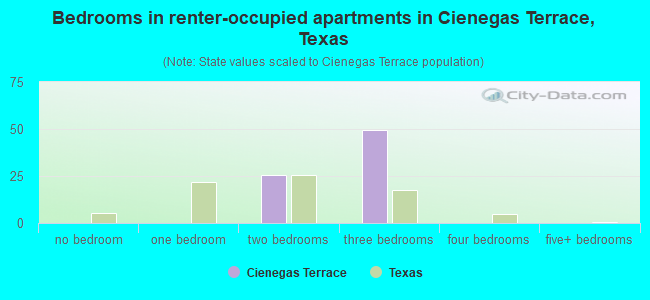 Bedrooms in renter-occupied apartments in Cienegas Terrace, Texas