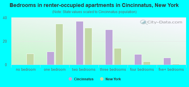 Bedrooms in renter-occupied apartments in Cincinnatus, New York
