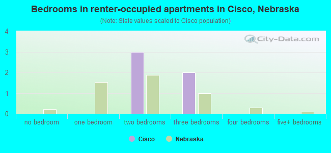 Bedrooms in renter-occupied apartments in Cisco, Nebraska