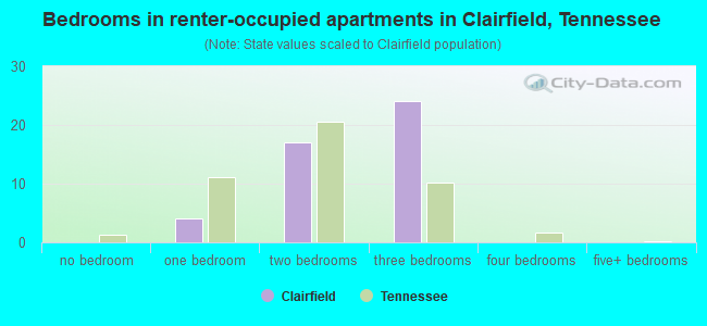 Bedrooms in renter-occupied apartments in Clairfield, Tennessee