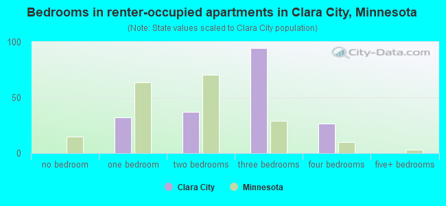 Bedrooms in renter-occupied apartments in Clara City, Minnesota
