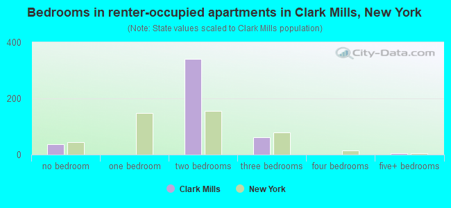 Bedrooms in renter-occupied apartments in Clark Mills, New York