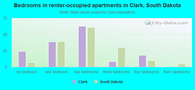 Bedrooms in renter-occupied apartments in Clark, South Dakota