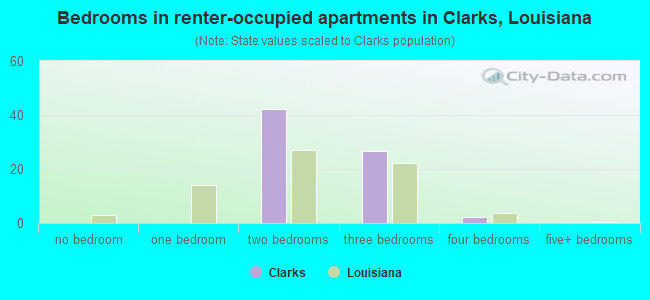 Bedrooms in renter-occupied apartments in Clarks, Louisiana