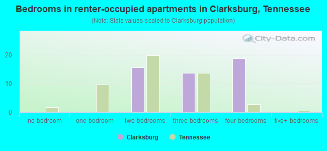 Bedrooms in renter-occupied apartments in Clarksburg, Tennessee