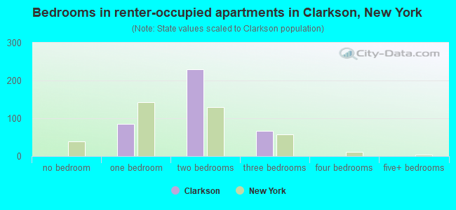 Bedrooms in renter-occupied apartments in Clarkson, New York