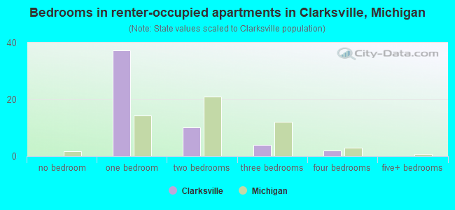 Bedrooms in renter-occupied apartments in Clarksville, Michigan