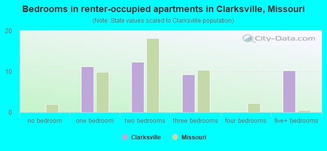 Bedrooms in renter-occupied apartments in Clarksville, Missouri