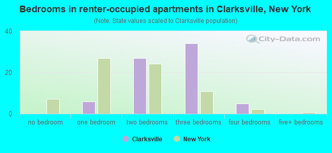 Bedrooms in renter-occupied apartments in Clarksville, New York