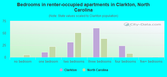 Bedrooms in renter-occupied apartments in Clarkton, North Carolina
