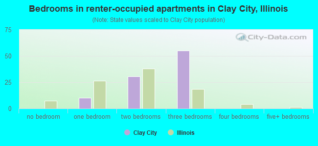 Bedrooms in renter-occupied apartments in Clay City, Illinois